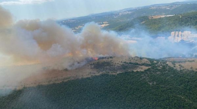 Balıkesir'deki yangını 6 uçak, 2 helikopter söndürdü