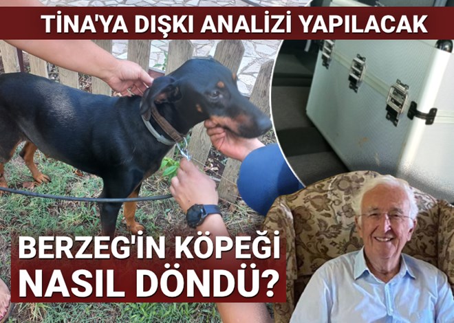 Tina'ya dışkı analizi yapılacak