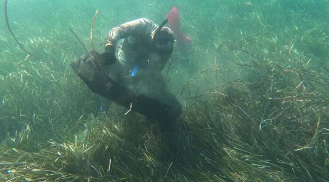 Bodrum'da deniz dibi atık temizliği