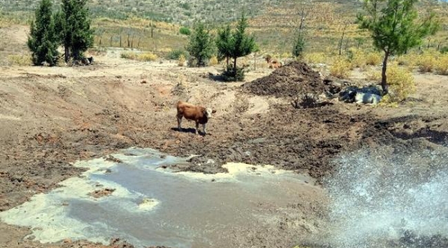 Bodrum'da göletlere su takviyesi