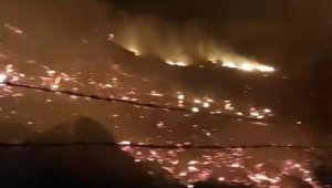 Bodrum'da maki yangını: 15 dönüm alan zarar gördü