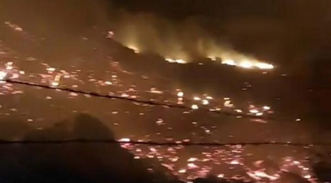 Bodrum'da maki yangını: 15 dönüm alan zarar gördü
