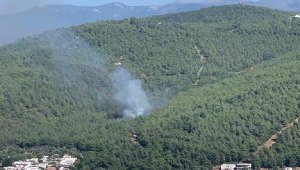 Bodrum'da orman yangını
