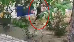 Bodrum'da otel hırsızı kıskıvrak yakalandı