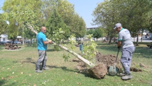 Bornova Belediyesi, hem park yapıyor, hem de yeniliyor