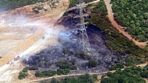 Bornova'daki yangın 2 uçakla kontrol altına alındı
