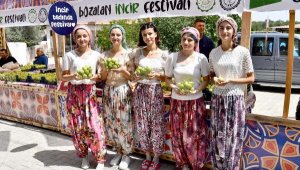 Bozalan İncir Festivali başlıyor