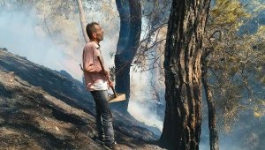 Burhaniye'de 2 dönüm orman zarar gördü