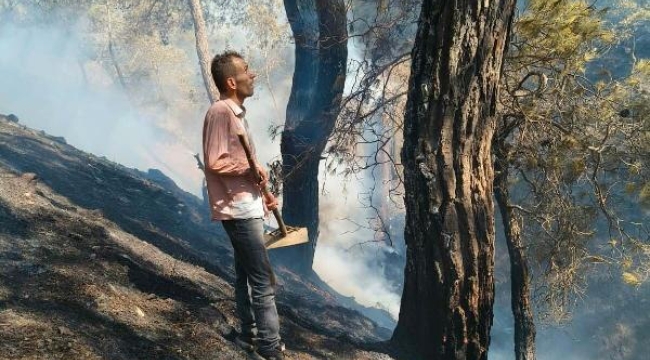 Burhaniye'de 2 dönüm orman zarar gördü