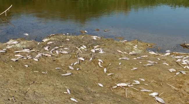 Büyük Menderes ölüyor