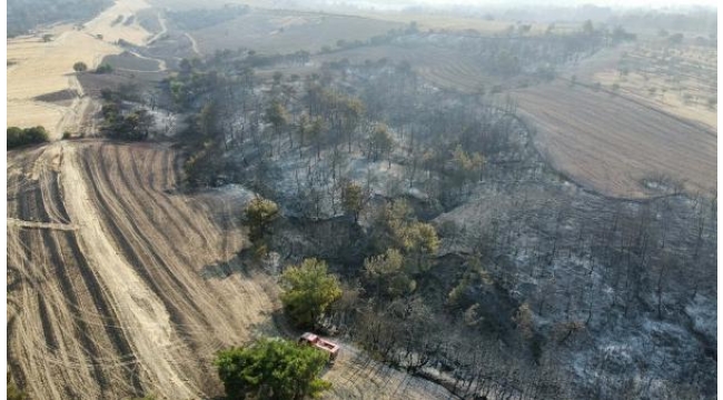 Çanakkale'de alevlerle mücadelede 2'nci gün