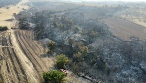 Çanakkale'de alevlerle mücadelede 2'nci gün