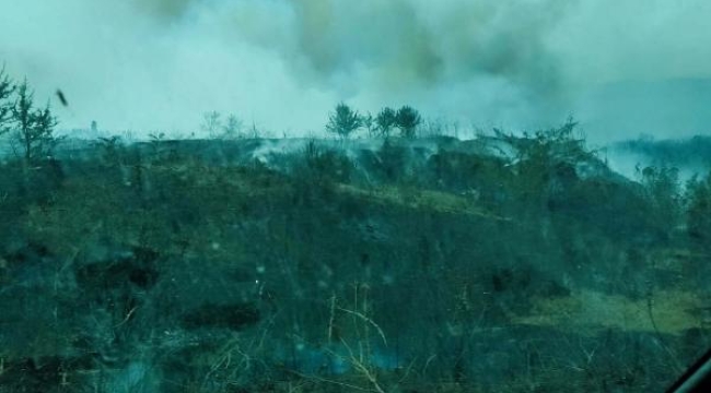 Çanakkale'de orman yakınında ot yangını