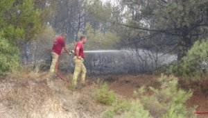 Çanakkale'de orman yangını; 2 saatte kontrol altında