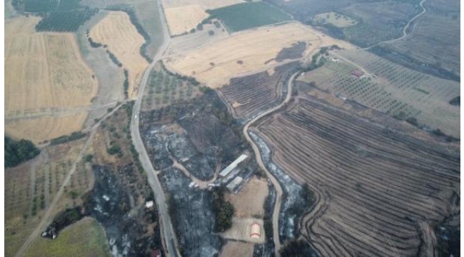 Çanakkale'deki orman yangınında 3'üncü gün