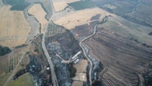 Çanakkale'deki orman yangınında 3'üncü gün