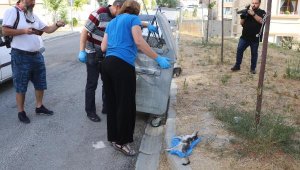 Denizli'de 2 yavru kedi öldürüldü, 1'i yaralı bulundu