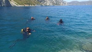 Ege denizinde dikenli deniz kestanesi uyarısı