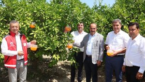 Egeli üreticilere 8 bin Akdeniz meyve sineği tuzağı dağıtıldı