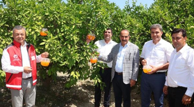 Egeli üreticilere 8 bin Akdeniz meyve sineği tuzağı dağıtıldı