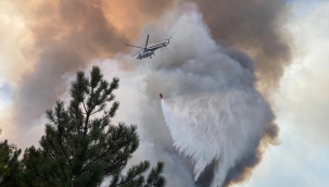 Eskişehir'de orman yangını