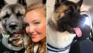 'Haki'yi tekmeyle öldüren sanığa 4 yıl istendi