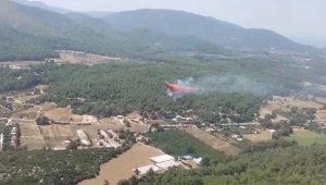 İzmir Çileme'de orman yanıyor