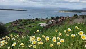 İzmir'de defineciler iki antik kent buldu!