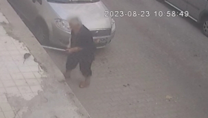 İzmir'de farenin ısırdığı kadın hastanelik oldu