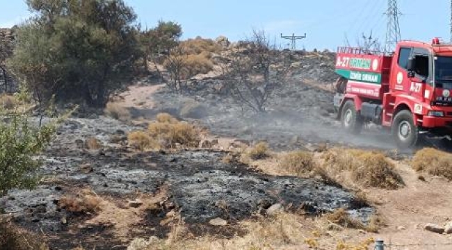 İzmir'deki makilik yangınında 3 hektar alan zarar gördü