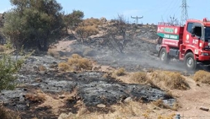 İzmir'deki makilik yangınında 3 hektar alan zarar gördü