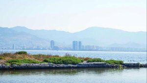 İzmir Körfezi'nde biyolojik çeşitliliği izleme çalışmaları