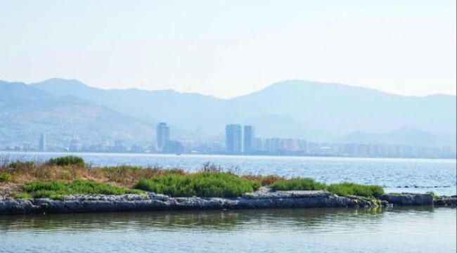 İzmir Körfezi'nde biyolojik çeşitliliği izleme çalışmaları