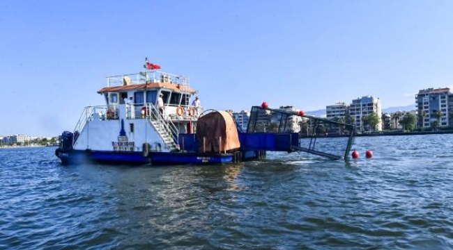İzmir Körfez'inin temizlenmesi için deniz patlıcanları yetiştirilecek