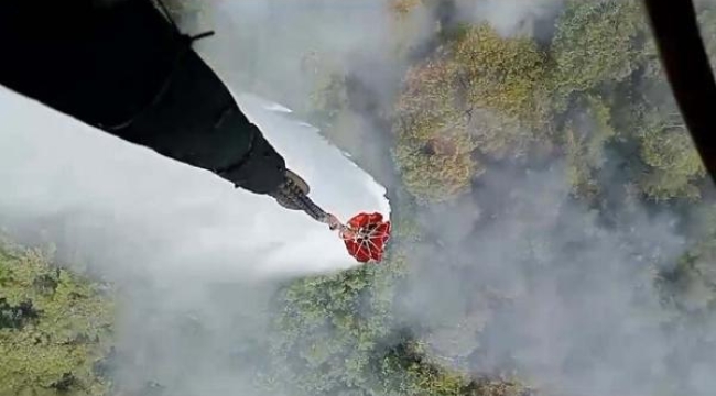 İzmir Ürkmez'de orman yangını başladı