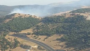 İzmir'de makilik yangını