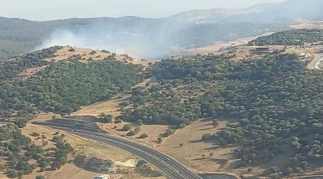 İzmir'de makilik yangını