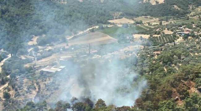 İzmir'de orman yangını, 1 saatte kontrol altına alındı
