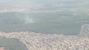 İzmir'deki orman yangını devam ediyor