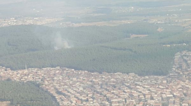 İzmir'deki orman yangını devam ediyor