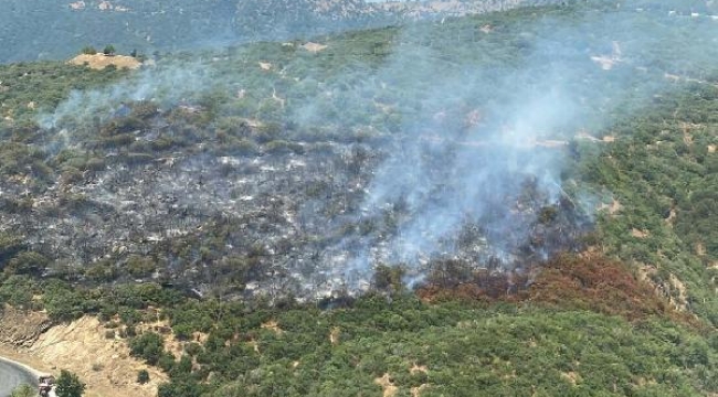 İzmir'de otomobilde çıkan yangın ormana sıçradı
