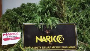 İzmir'de uyuşturucuya 1 haftada 25 tutuklama