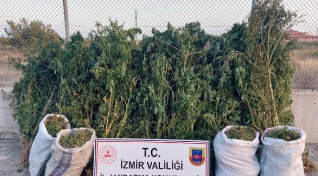 İzmir'in 5 ilçesinde uyuşturucuya 30 gözaltı 