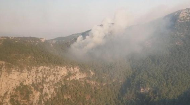 Kemalpaşa'daki orman yangını söndürüldü