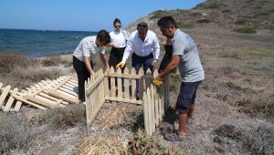 Kum zambakları koruma altında