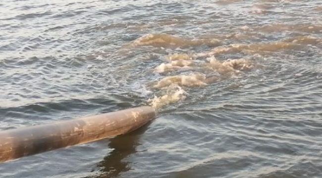 Manyas Gölü'ne sazan balığı yavruları bırakıldı
