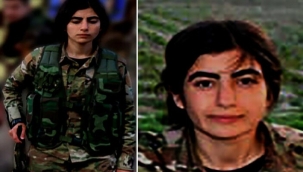 MİT, PKK'lı kadını Suriye Haseke'de nokta atışıyla etkisiz hale getirdi