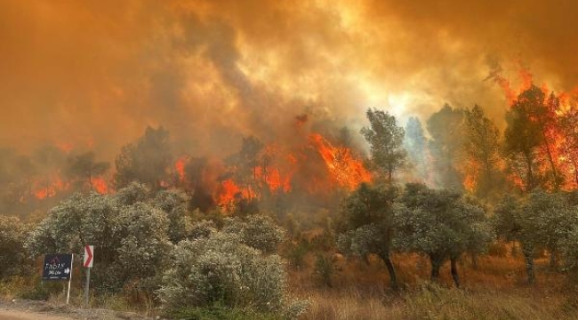 Muğla Valiliği'nden orman yangını uyarısı