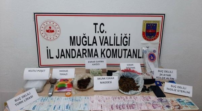 Muğla'nın 7 ilçesinde uyuşturucu operasyonu: 31 gözaltı