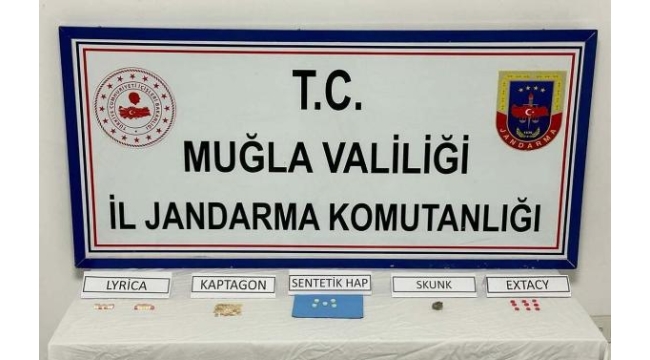 Muğla'nın 9 ilçesindeki uyuşturucu operasyonunda 19 gözaltı